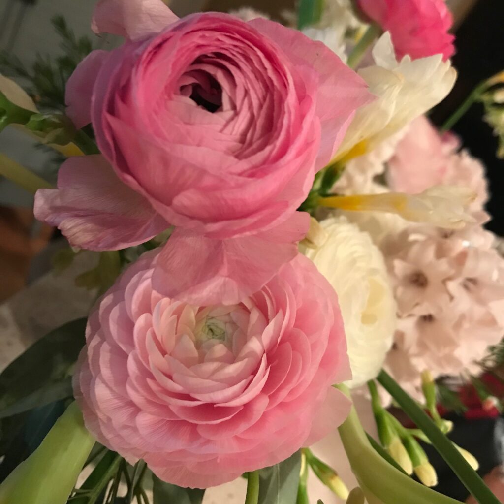 oldsite.fantasyfloralva.com ranunculus love flowers