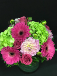 Frankie with Dahlias