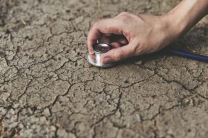 https://chap-solutions.co.uk/solutions/focus-on-soil-health/