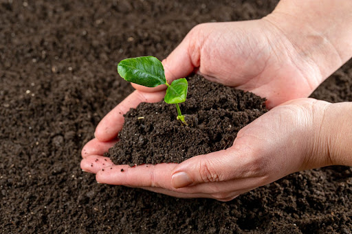 living soil