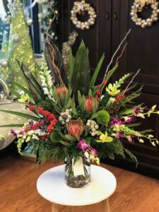 Tropical Designer's Choice