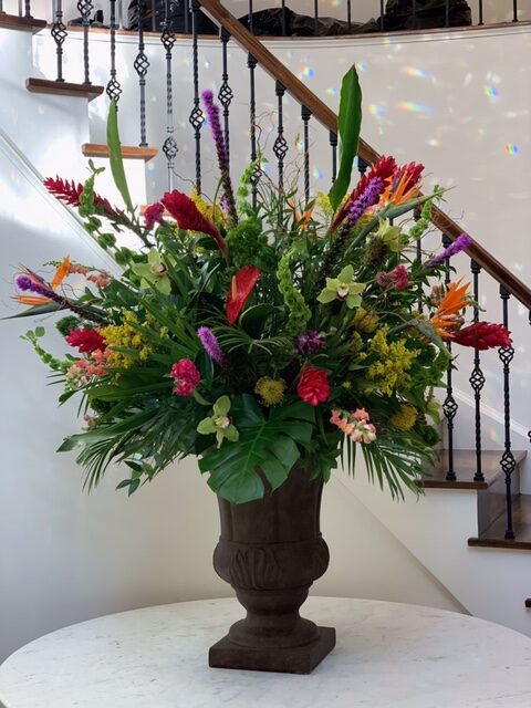 Tropical Designer's Choice Arrangement